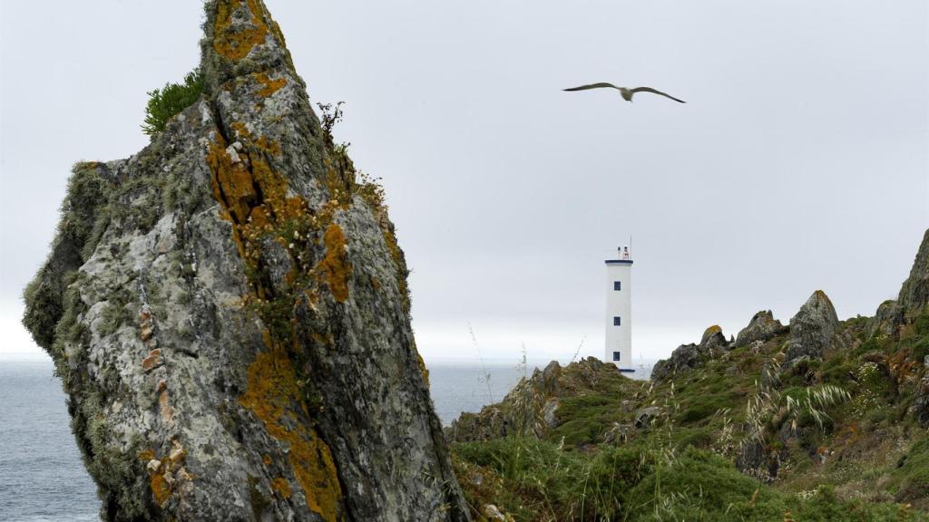 Un pájaro sobrevuela el Faro de Cabo Home, en Cangas.