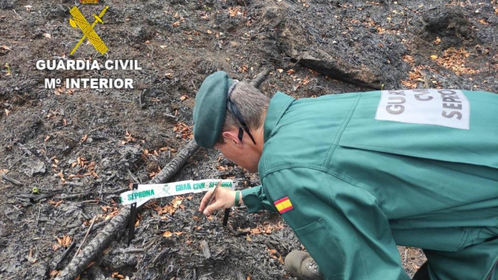 Incendio provocado en Vilaverde.