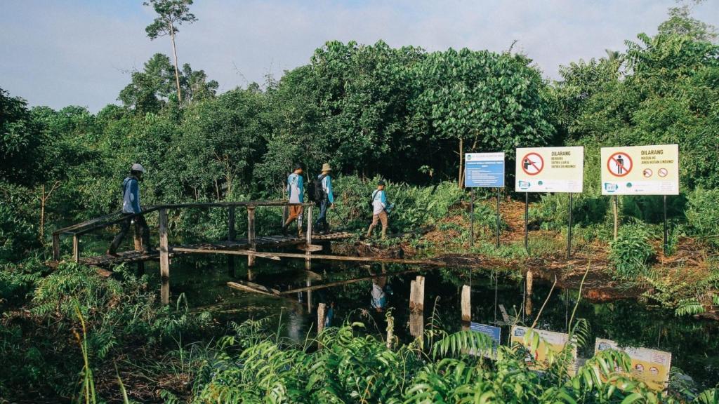 Uno de los proyectos de Climate Trade en Sumatra Merang Peatland (Indonesia).