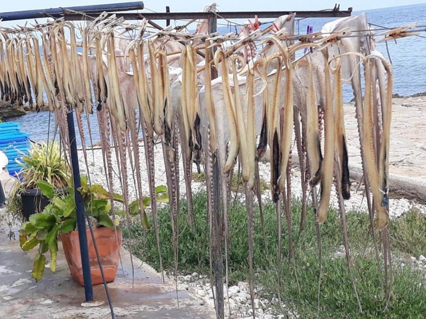 Pulpo seco - Sendra Dénia