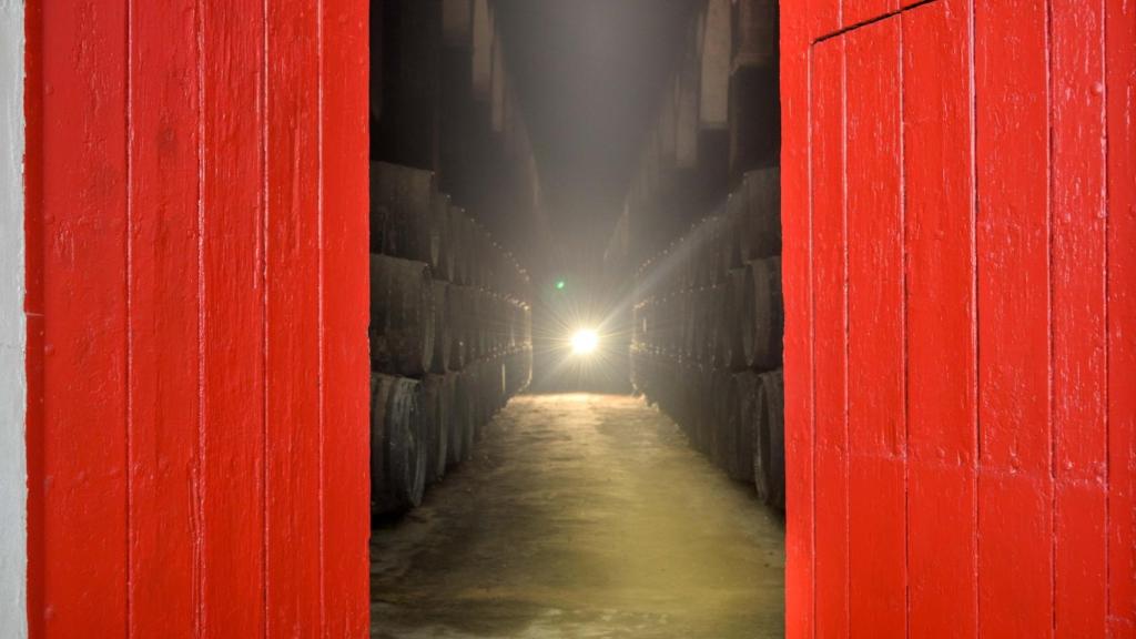 Visita guiada nocturna en Bodegas Barbadillo