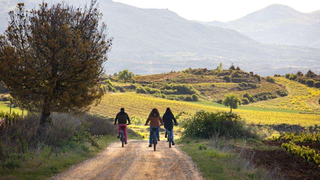 Ruta en bicicleta por los viñedos