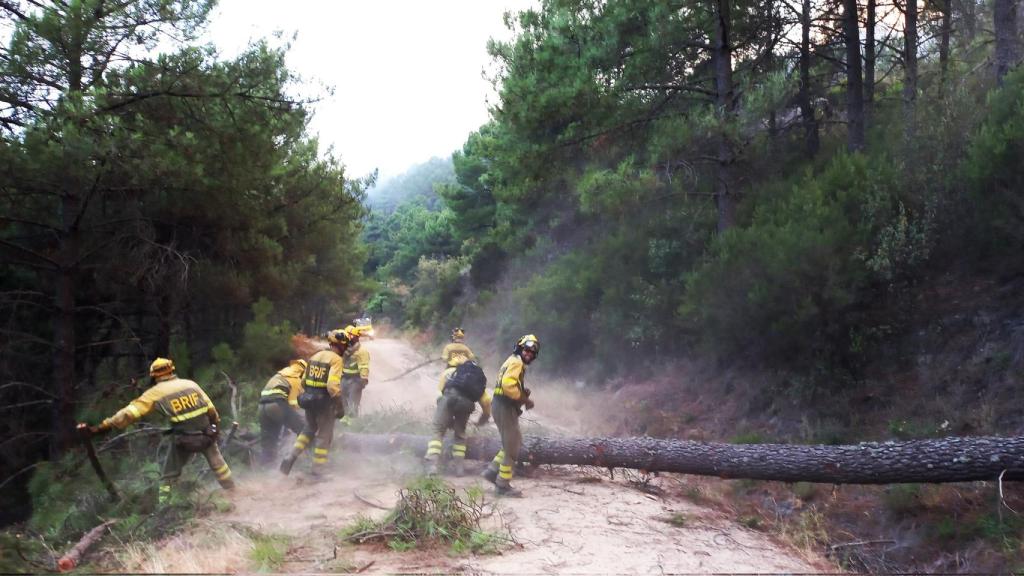 Incendio en Santa Cruz del Valle (Ávila)