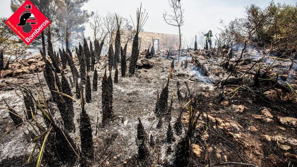 Una zona calcinada tras el paso del fuego.