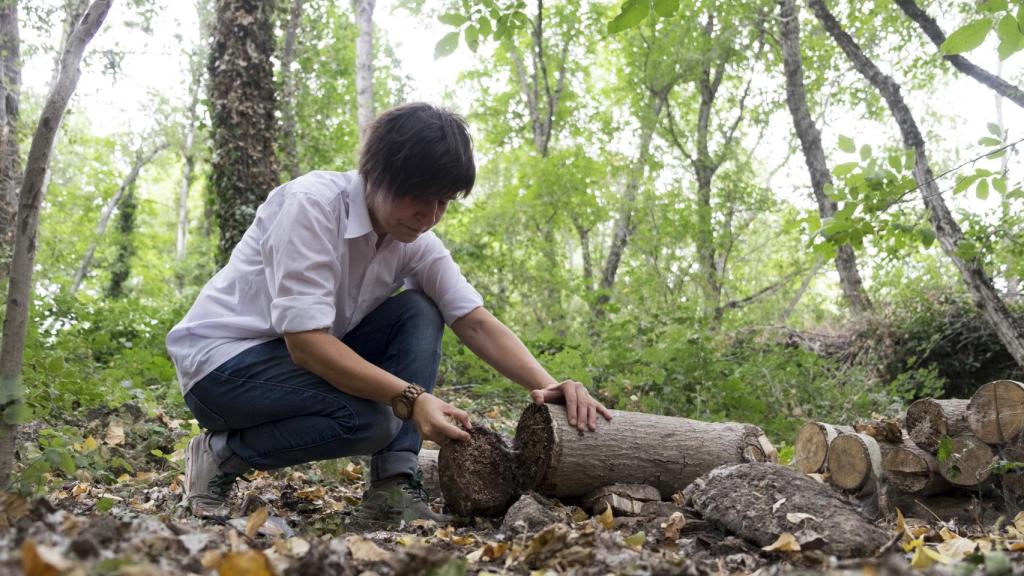Proyecto Setalandia en Puerto de Béjar