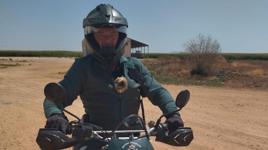 El guardia civil transporta al águila en su chaqueta.