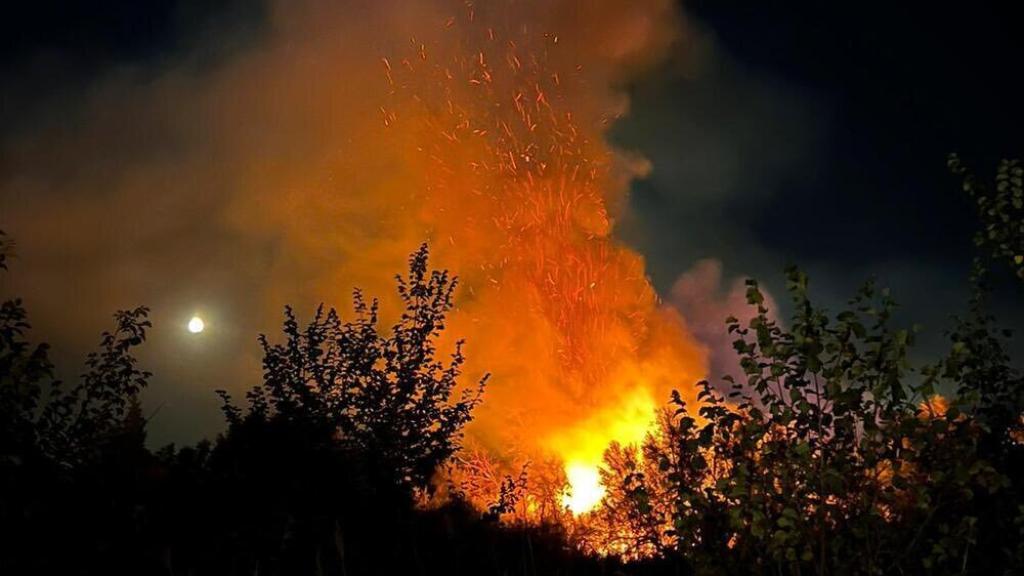 Incendio originado en una de las islas del Tajo. / Foto: @milagrostolon.