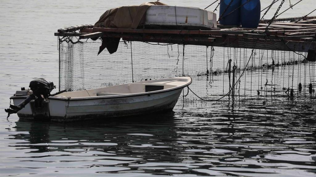 Una de las zonas donde se recogen clóchinas en Santa Pola.