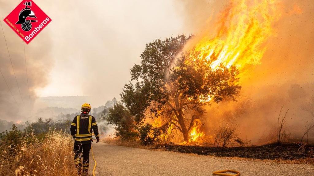 Un momento de la actuación de los bomberos.