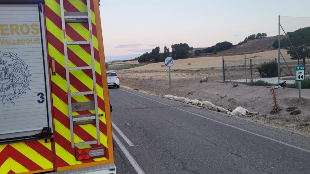 Bomberos de Valladolid en la carretera