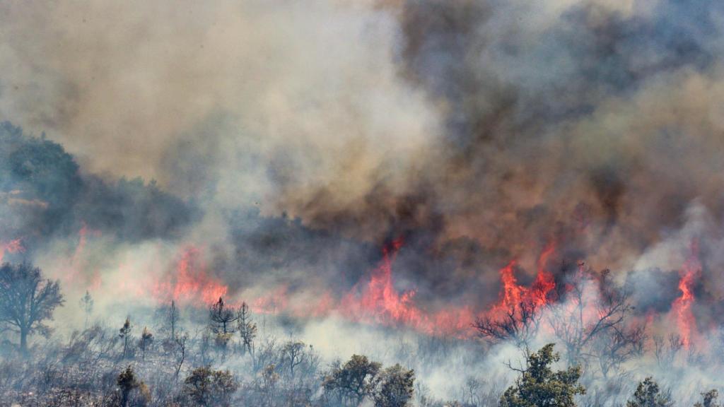 El incendio de Losacio en Zamora