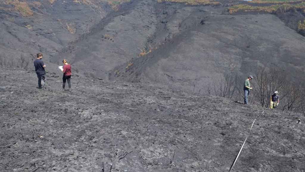 Técnicos del Centro de Investigación Forestal de Lourizán (Pontevedra) evalúan los daños en la Serra do Courel (Lugo) provocados por los incendios.