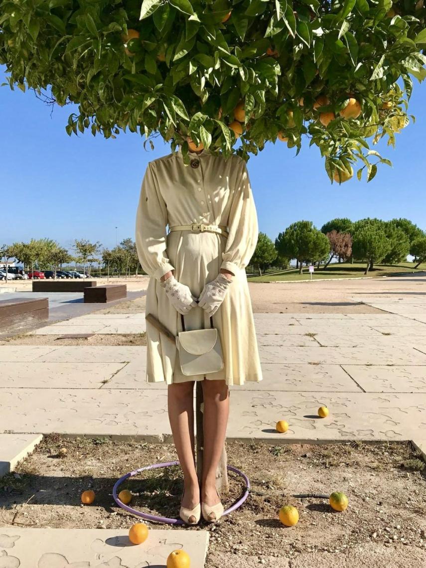 Imagen 'la planta' de Miss Beige.