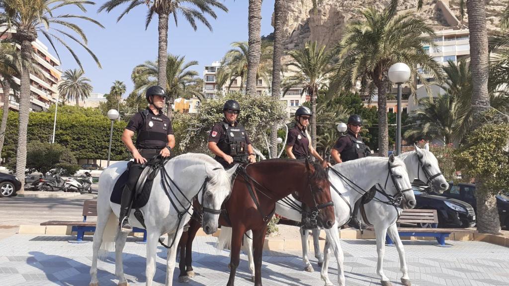 Foto Unidad de Caballería de la Policía.