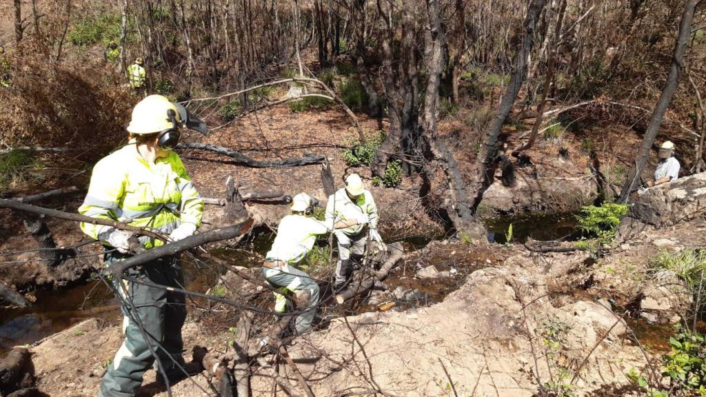 La CHD haciendo actuaciones medioambientales los cauces afectados por el incendio de la Culebra