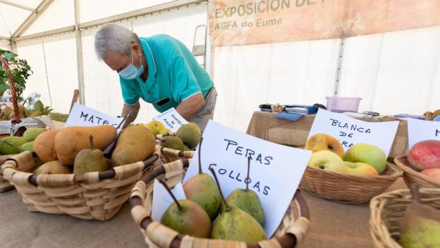 Concurso de fruta del 2021