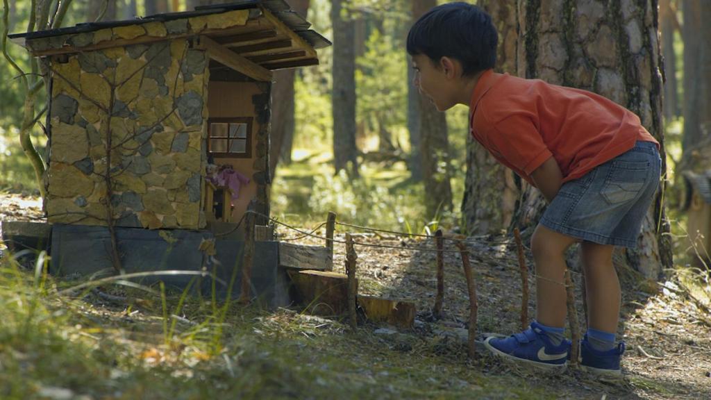 Imagen de un niño en el Bosque Mágico