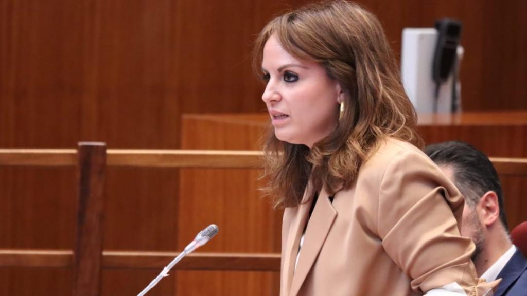 La viceportavoz del Grupo Parlamentario Socialista en las Cortes de Castilla y León, Patricia Gómez