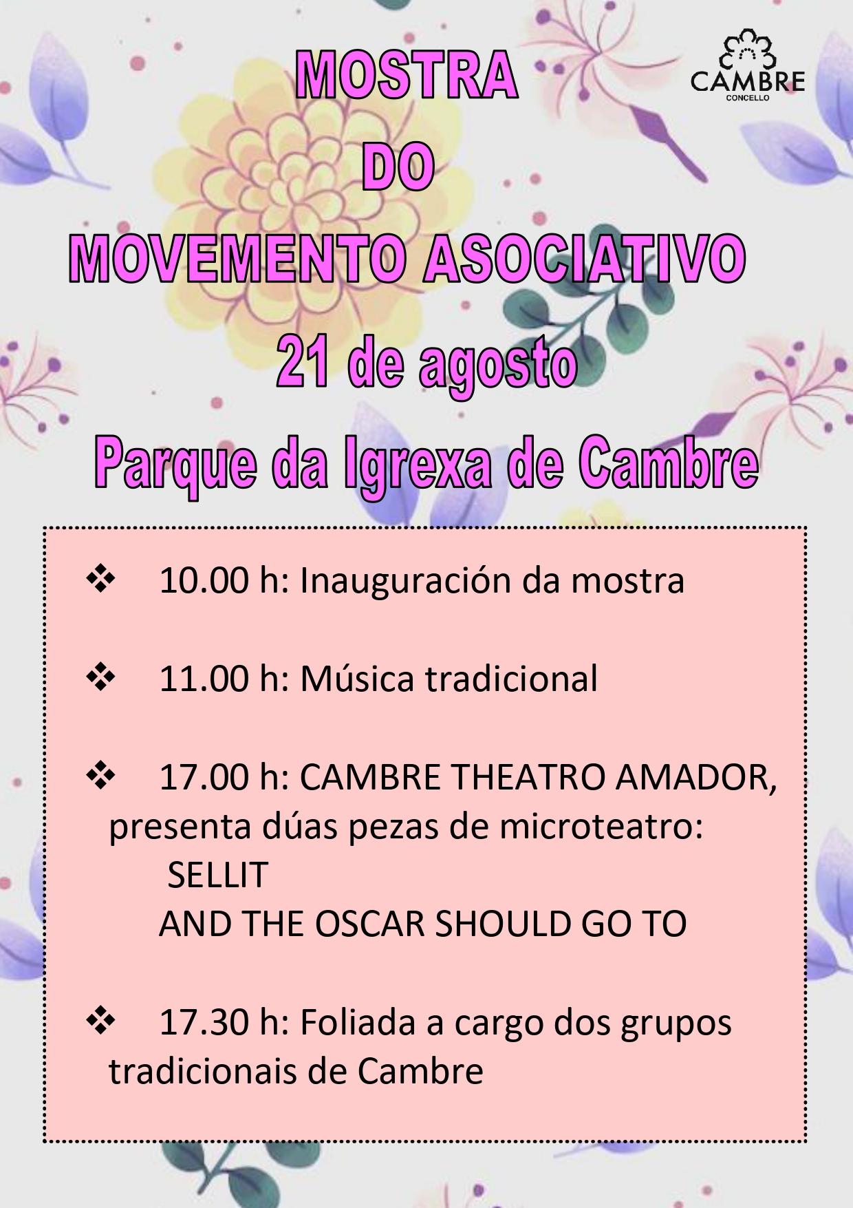 Cartel de la I Mostra do Movemento Asociativo (Concello de Cambre).
