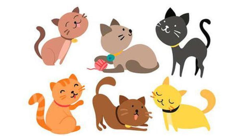 La imagen del test viral.