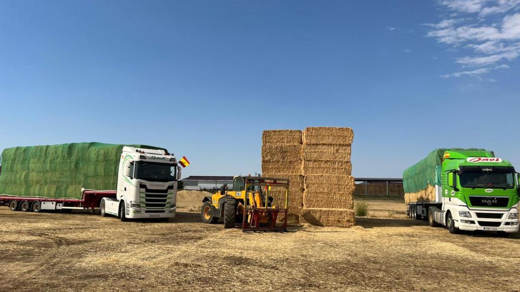 Imagen del material que se envía desde Valladolid rumbo a Zamora para los afectados por los incendios