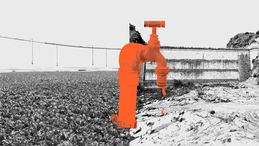 No es Sequía, sino Mala Gestión del Agua: el Precio que Paga España por ser el 'Huerto de Europa'