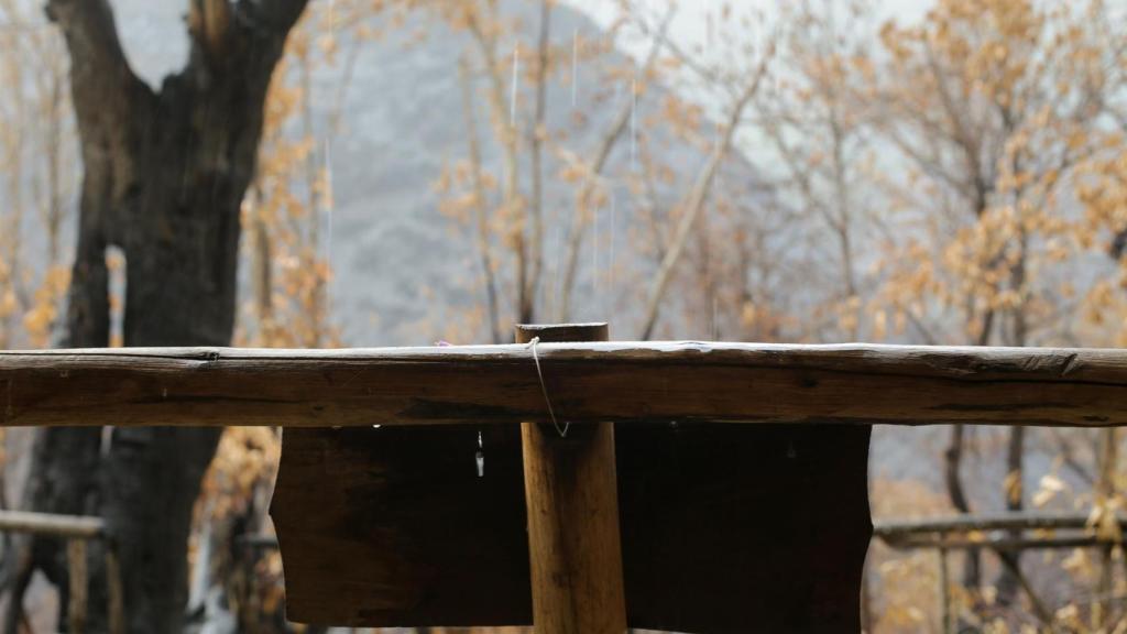 Zona arrasada por el fuego, a 16 de agosto de 2022, en O Courel-