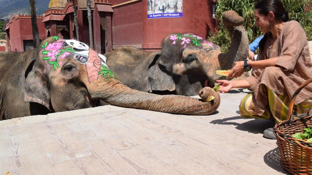Ofrenda de frutas y verduras a Petita.