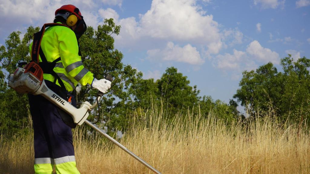 Brigadistas forestales de la Diputación de Segovia