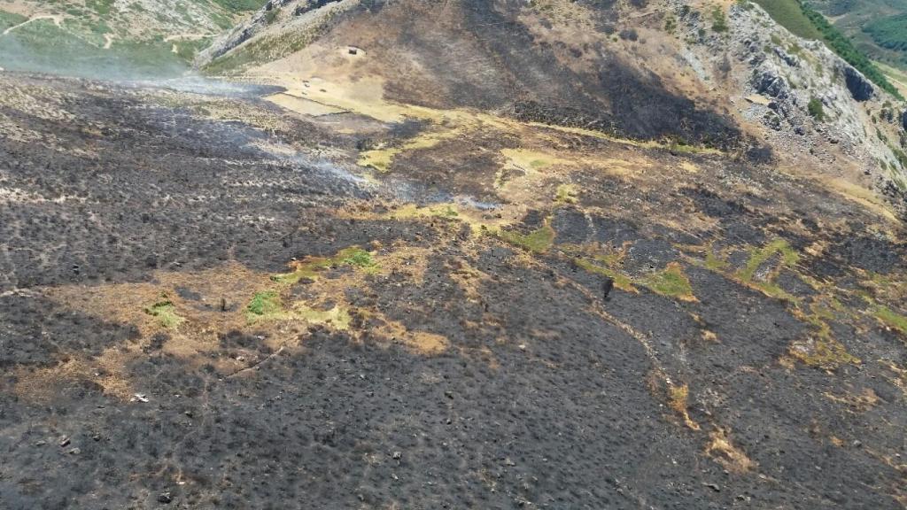 La reproducción originada en el incendio de Boca de Huérgano