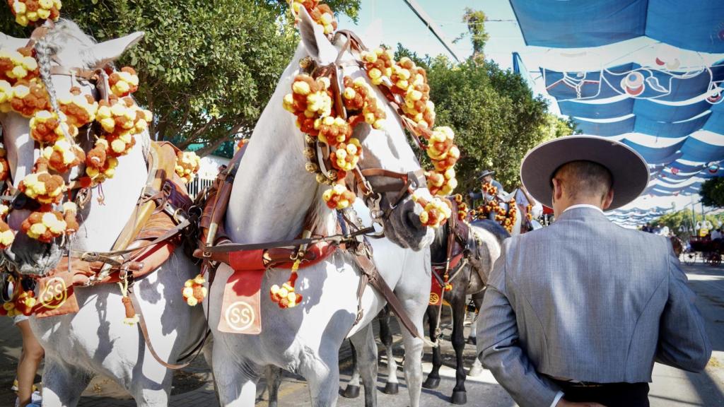 Las mejores imágenes de la Feria