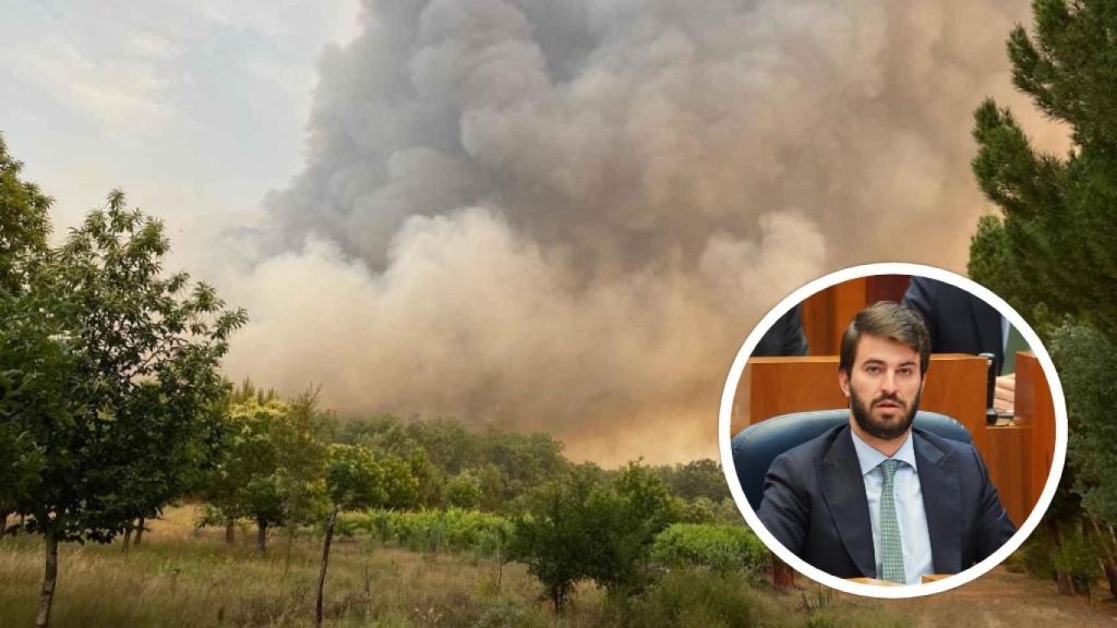 El vicepresidente de la Junta, Juan García-Gallardo, en una imagen de archivo.