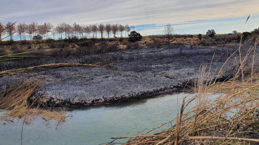 Restos de un incendio forestal próximo a un río