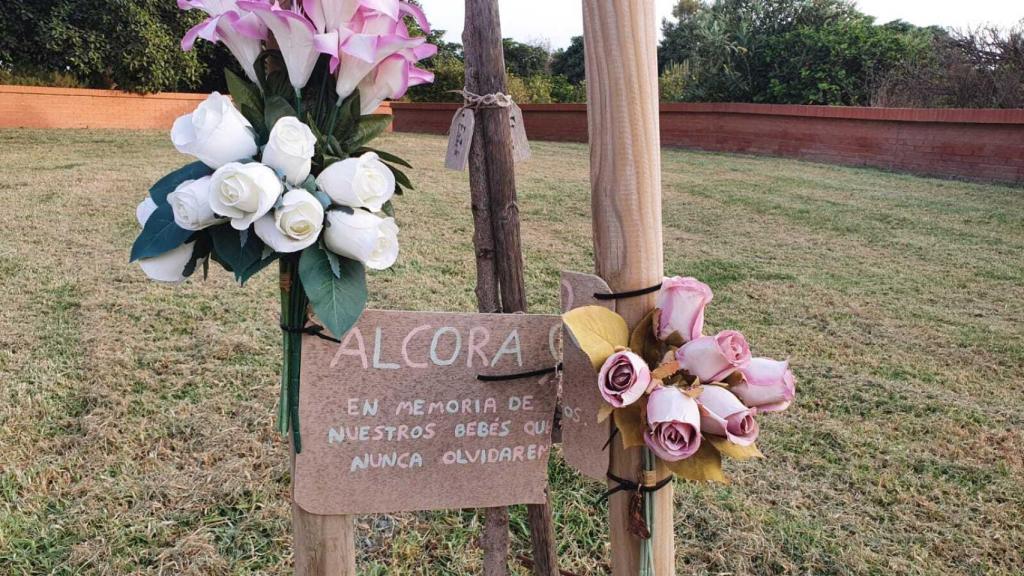 Un árbol en recuerdo de los bebés
