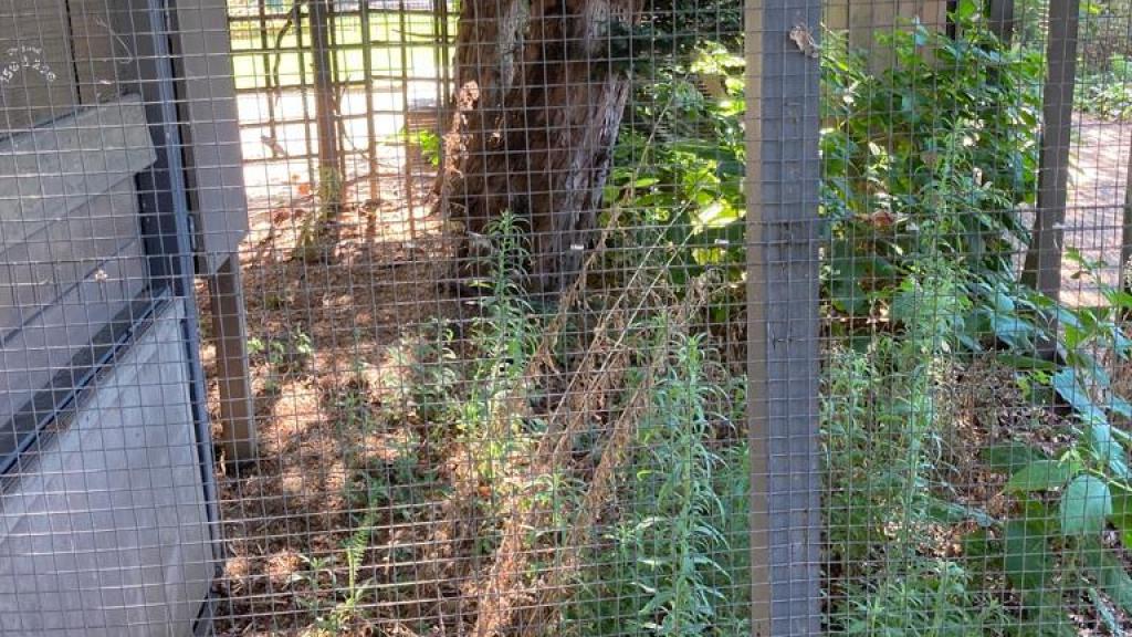 Jaula instalada en el parque de La Nueve.