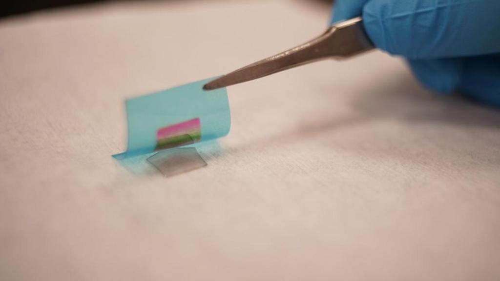 Otro tipo de piel electrónica creada por el MIT.