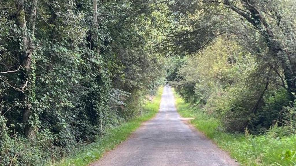 Camino de Condomiñas