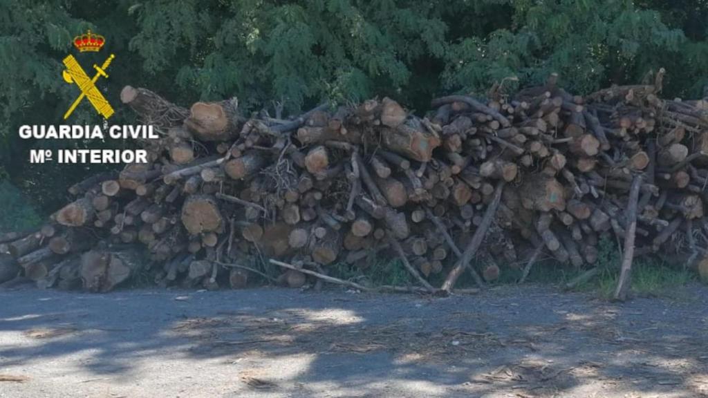 Toneladas de madera requisadas en Brión
