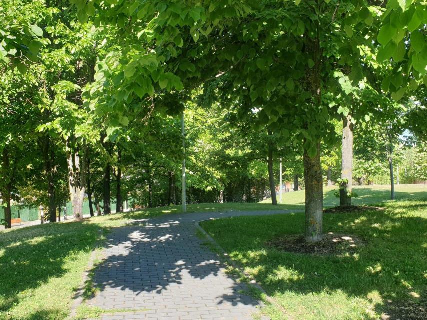 Imagen del Parque Wurzburg en Salamanca.