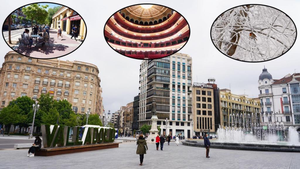 Valladolid con algunas de sus marcas de identidad