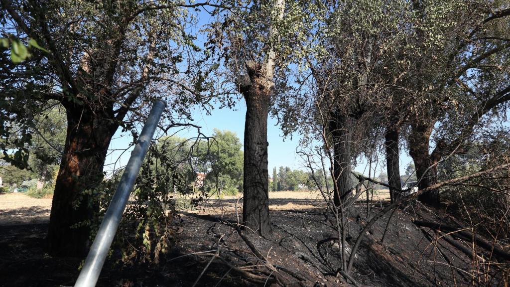 Foto: Óscar Huertas