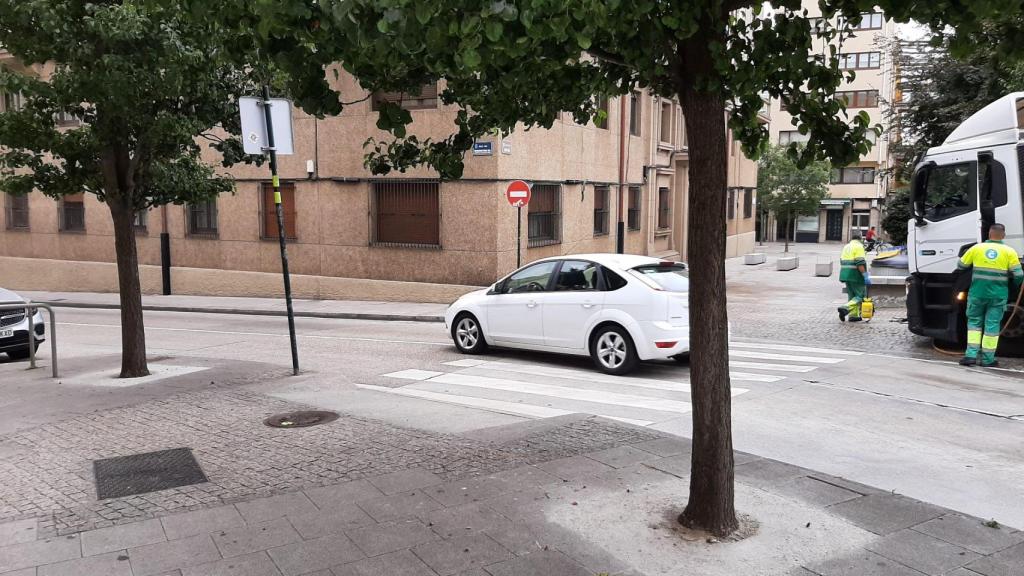 Alcorques de Campo da Leña.