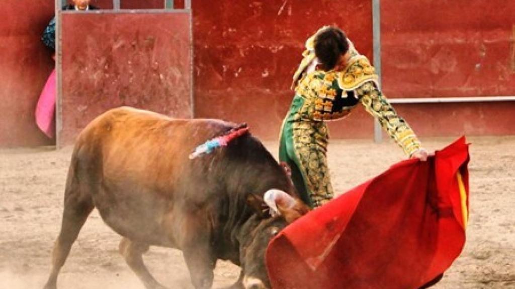 Daniel Medina en buen natural con el novillo de Baltasar Ibán premiado con la vuelta al ruedo