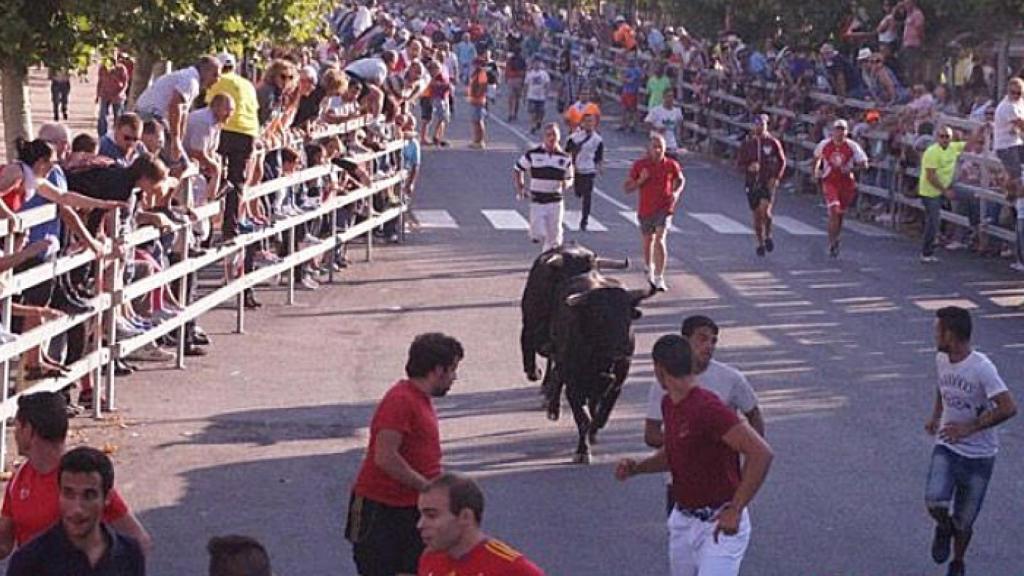Imagen de un encierro en Medina del Campo