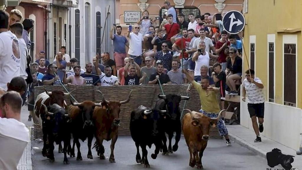 Imagen de archivo del bous al carrer de Beniarbeig.