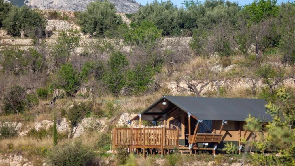 Tienda de Safari, Can Elisa