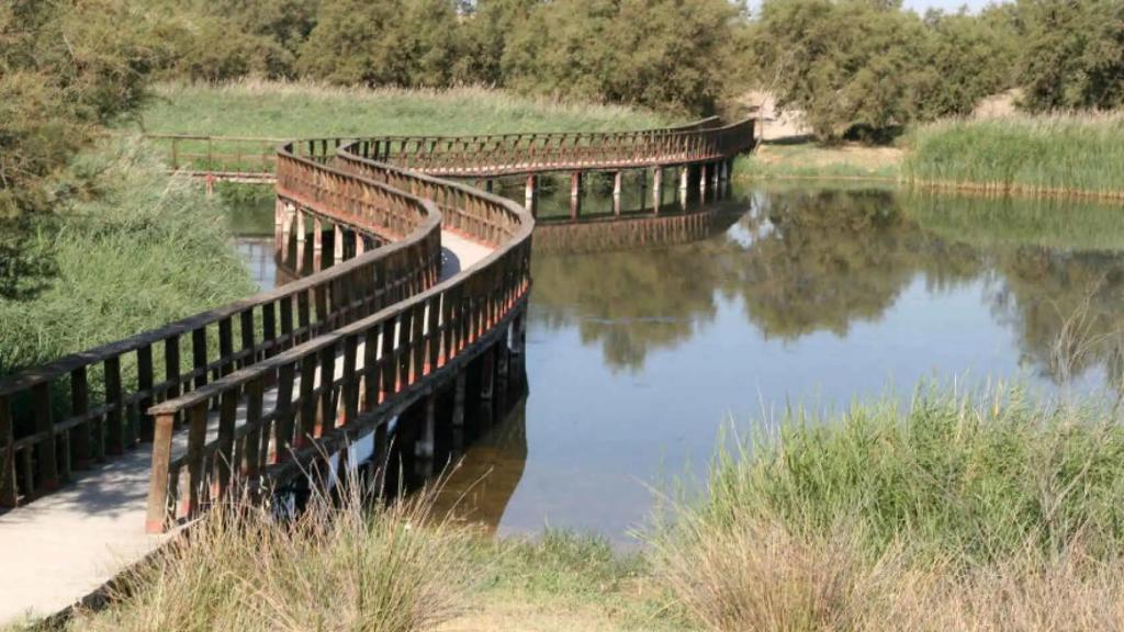 Tablas de Daimiel (Ciudad Real).