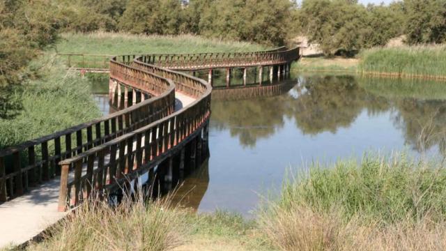 Tablas de Daimiel (Ciudad Real).