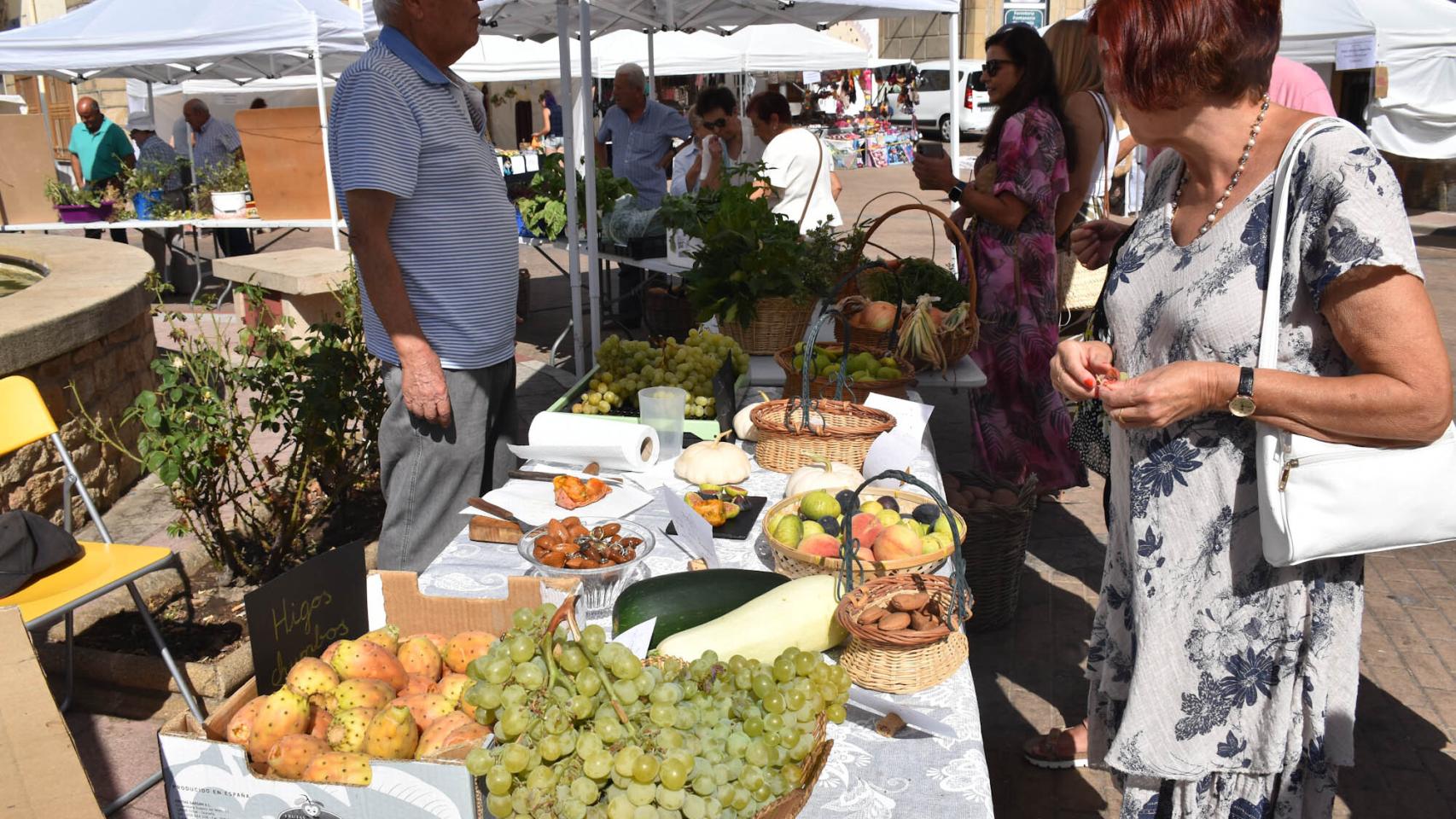 Imágenes de la  VI Feria de Productos Hortícolas y de Artesanía Lumbrales 2022