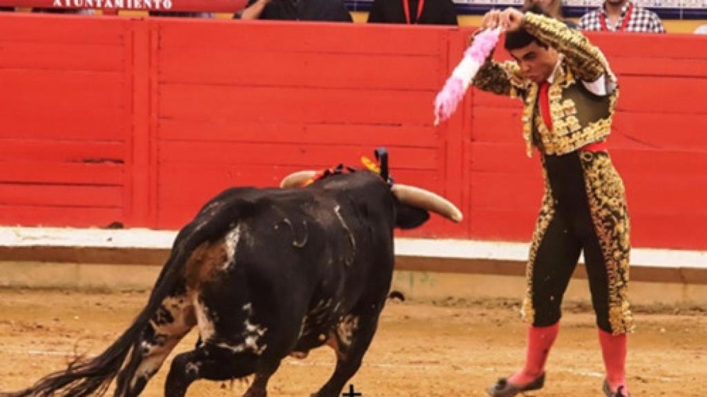 Novillada de Pedrajas